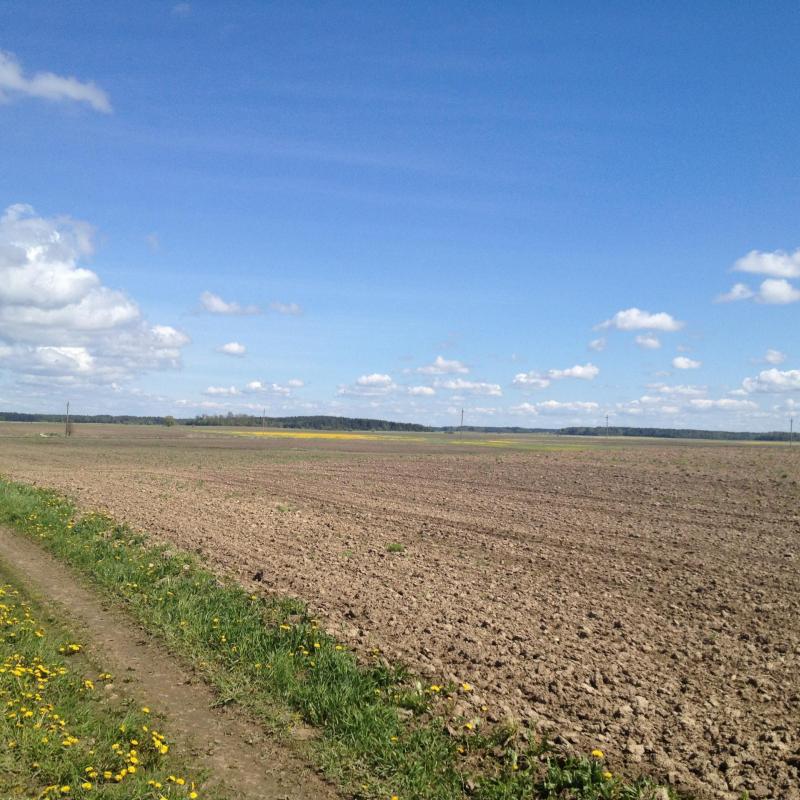 Plot of land in Grūšlaukė village 0.627 acres